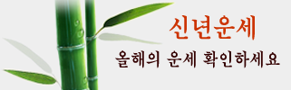 ���켺�� ������� ��������ǻ���